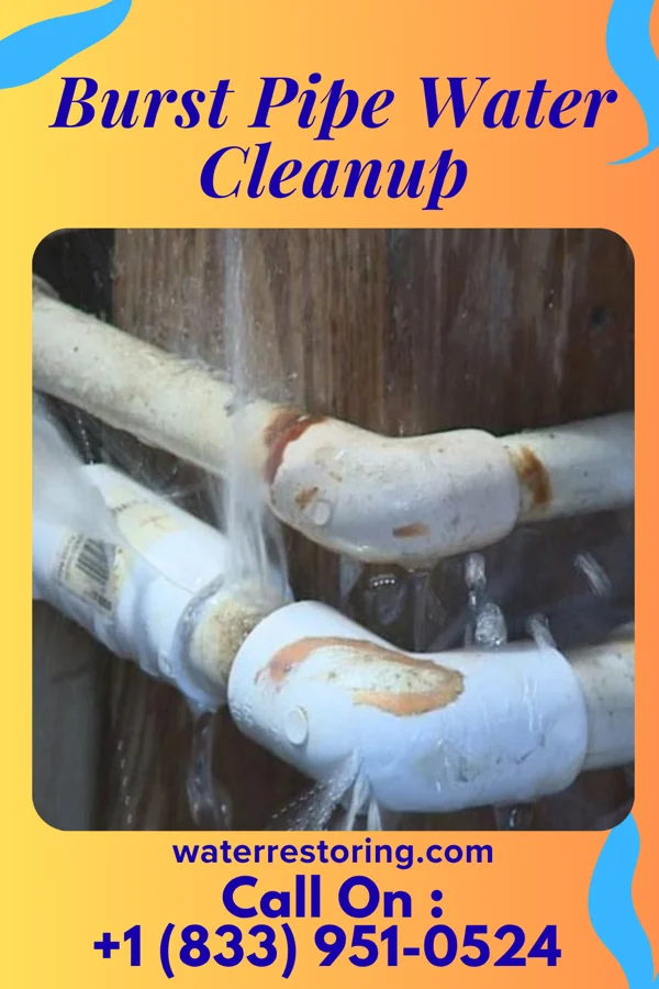 Burst Pipe Water Cleanup in Ross Corner, NJ