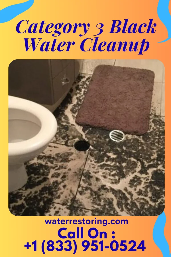 Category 3 Black Water Cleanup in Ross Corner, NJ