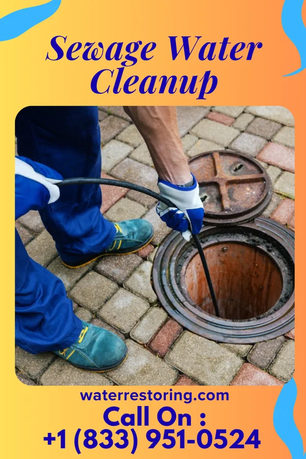 Sewage Water Cleanup in Ross Corner, NJ