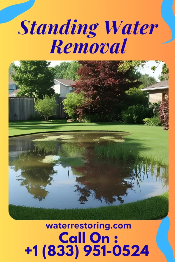 Standing Water Removal in Ross Corner, NJ